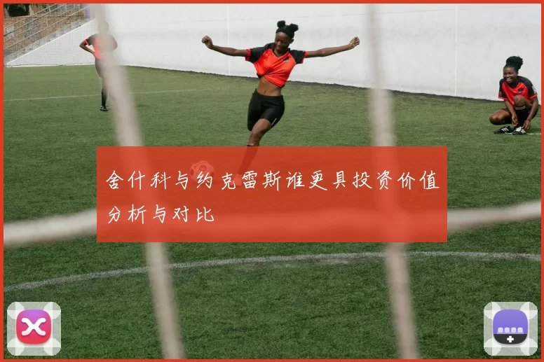 舍什科与约克雷斯谁更具投资价值分析与对比